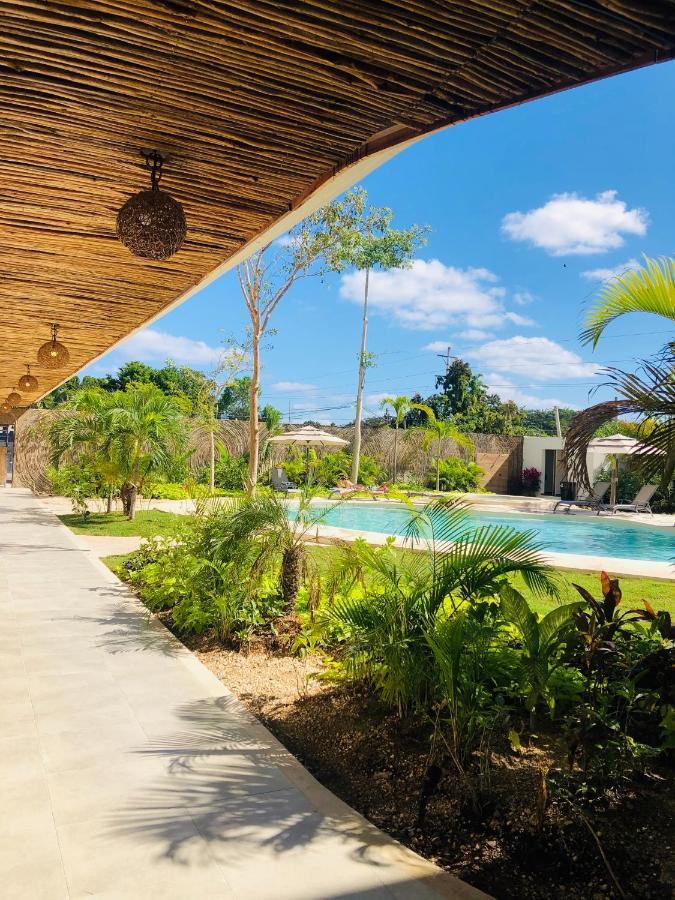 Buda Elementus Tulum Bagian luar foto
